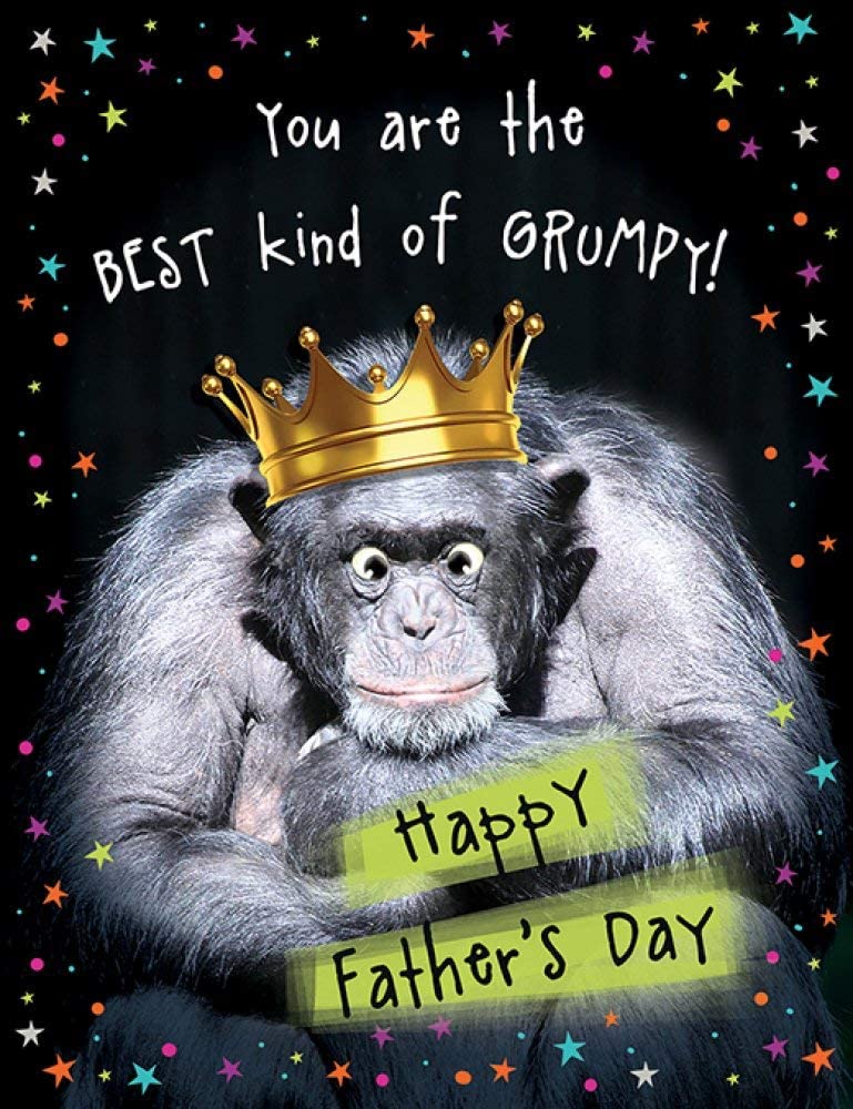 Sloane Graphics ''You Are The Best Kind of Grumpy Happy Fathers Day Card'' RRP 3.10 CLEARANCE XL 1.99