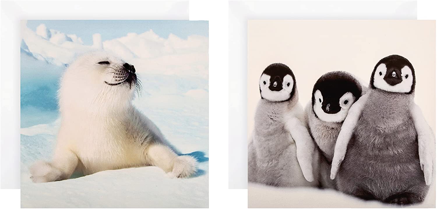 Hallmark Charity Christmas Cards 10 Cards in 2 Polar Animals Photographic Designs RRP £3.31 CLEARANCE XL £1.99