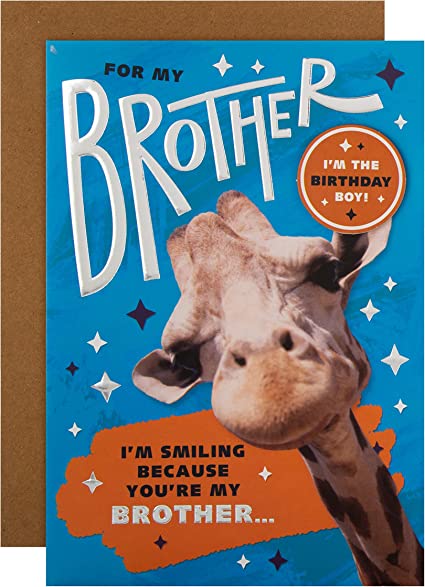 Hallmark Birthday Card for Brother Funny Giraffe Design with Badge RRP £3.40 CLEARANCE XL £1.99