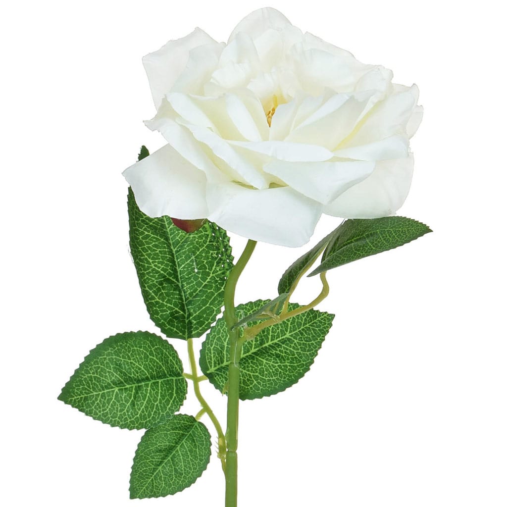George With Love White Single Rose RRP 1 CLEARANCE XL 99p
