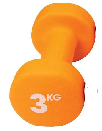 Dumbbell clearance 2025