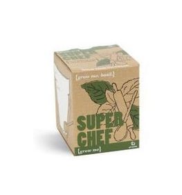 Grow Me Superchef Grow Your Own Basil RRP 3.99 CLEARANCE XL 99p