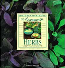 The Creative Cook Aromatic Herbs Hardcover Sally Anne Scott RRP £6.99 CLEARANCE XL £3.99